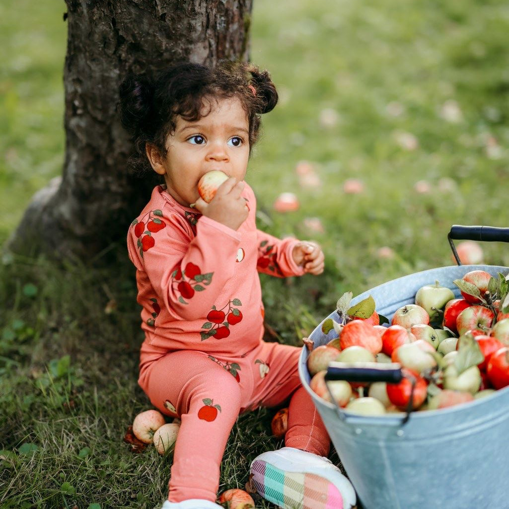 APPLE TREE -LEGGINGSIT | RASPBERRY Housut Kings of the Forest