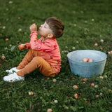 APPLE TREE -PAITA | RASPBERRY Paita Kings of the Forest