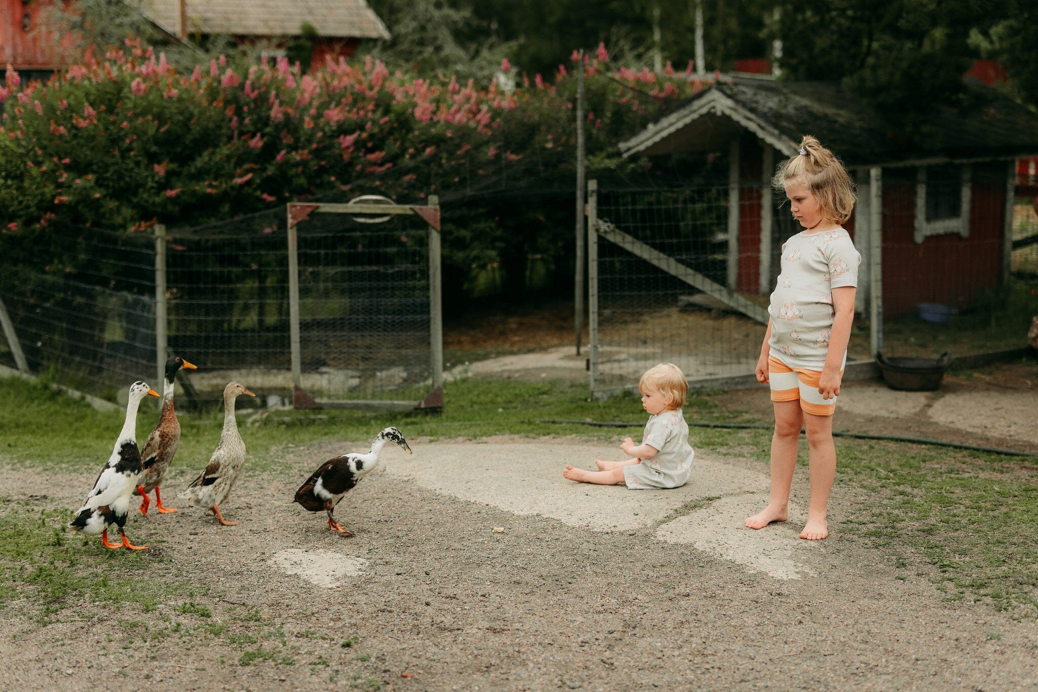 TINY FARMERS RIB ROMPER | MILKY PEAR Body Wonders of Life