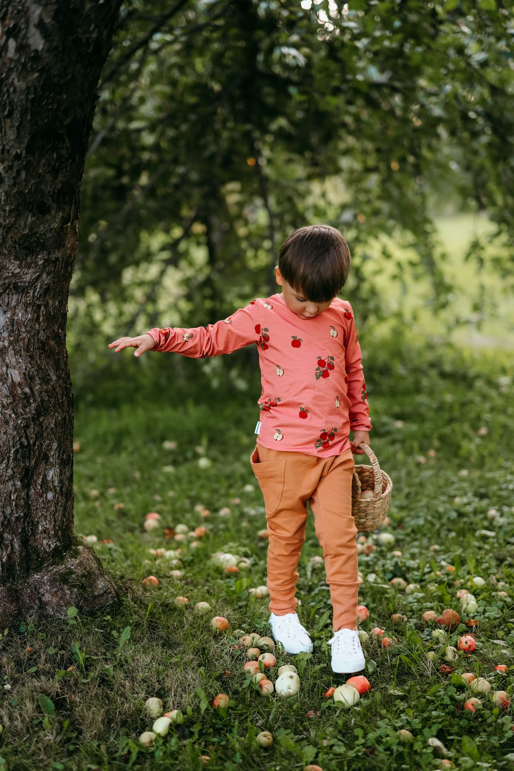 APPLE TREE RIB SHIRT | RASPBERRY