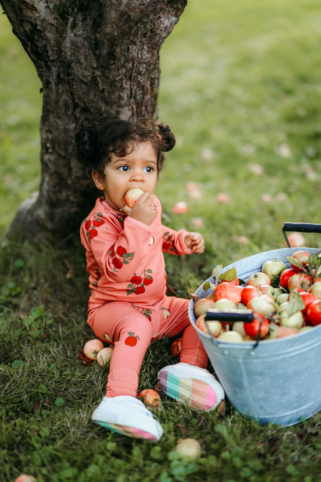 APPLE TREE BODY | RASPBERRY