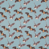 BRUSHED COLLEGE BAT 1M, CLOUDY SKY Kangas Kangaskarkelot