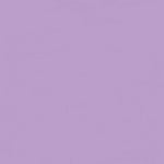 College (harjattu) 2M | Jasmine Kangas Kangaskarkelot