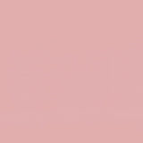 COLLEGE (HARJATTU) PEONY 2M | PEONY Kangas Kangaskarkelot