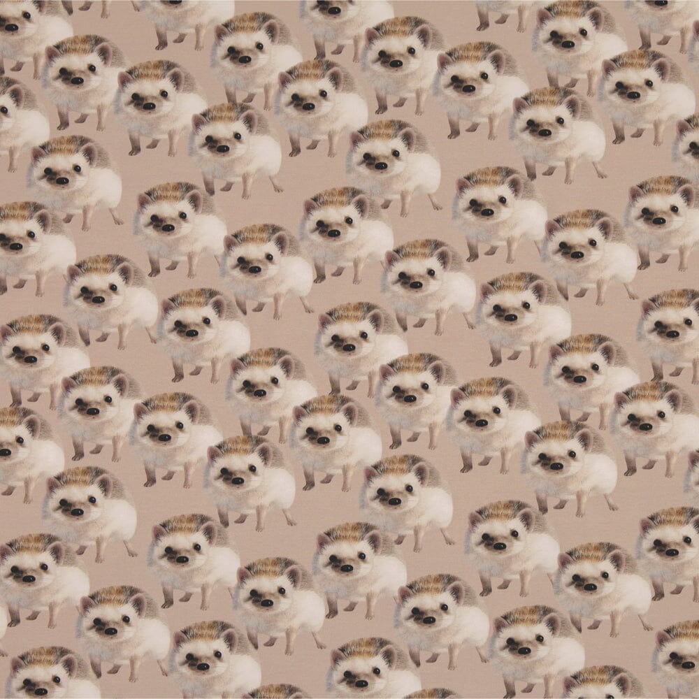 Hedgehog 1M, Choco Kangas Kangaskarkelot