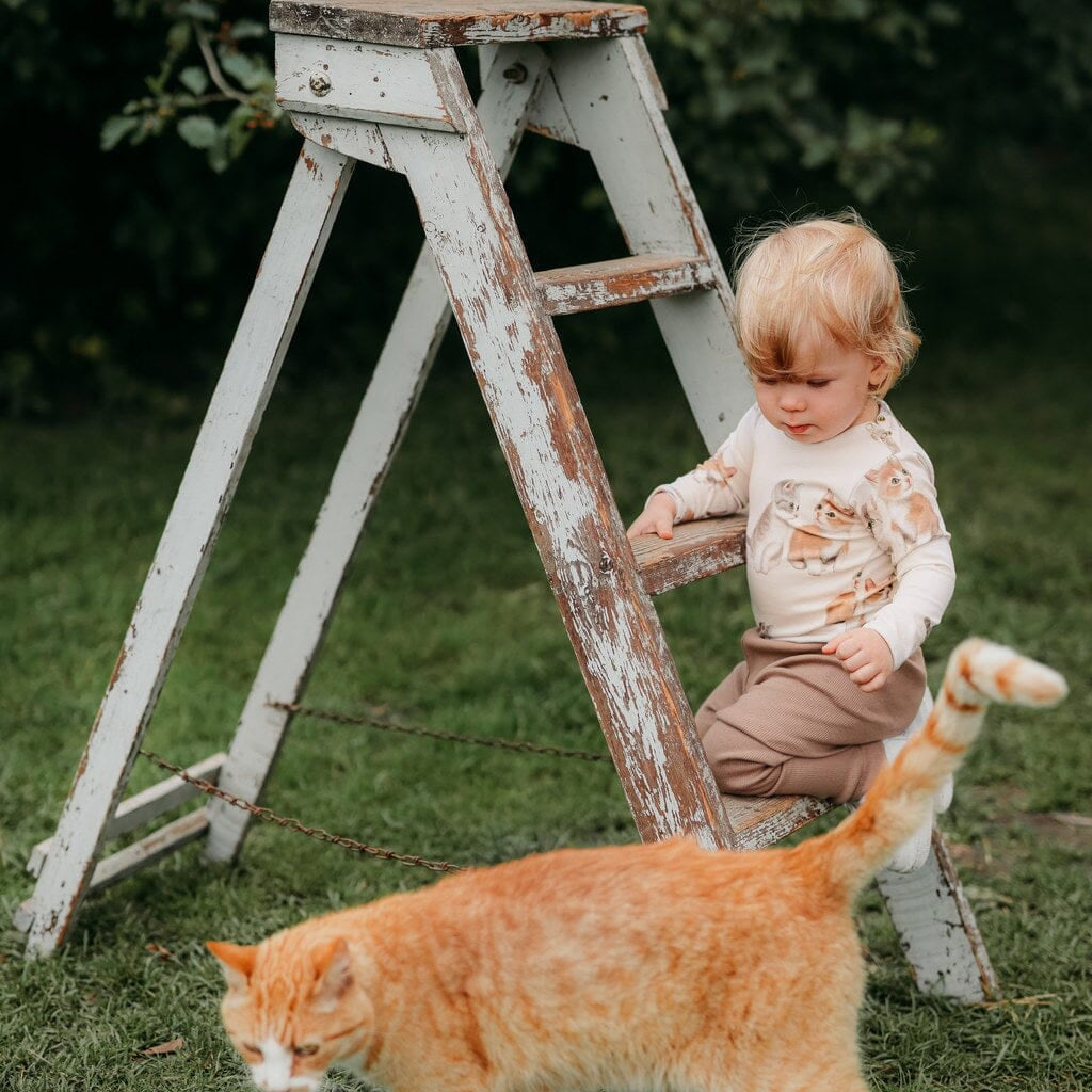 KITTIES -BODY | CREAM Body Wonders of Life