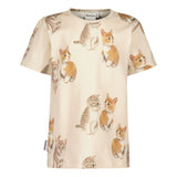 KITTIES T-SHIRT | CREAM Paita Wonders of Life
