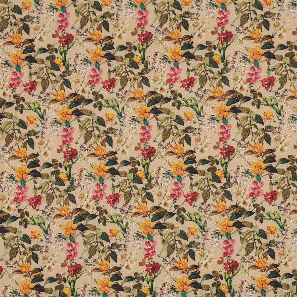 SINGLE JERSEY WONDERES 1M, ECRU Kangas Kangaskarkelot