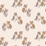 Trikoo Kitties 1M | Cream Kangas Kangaskarkelot