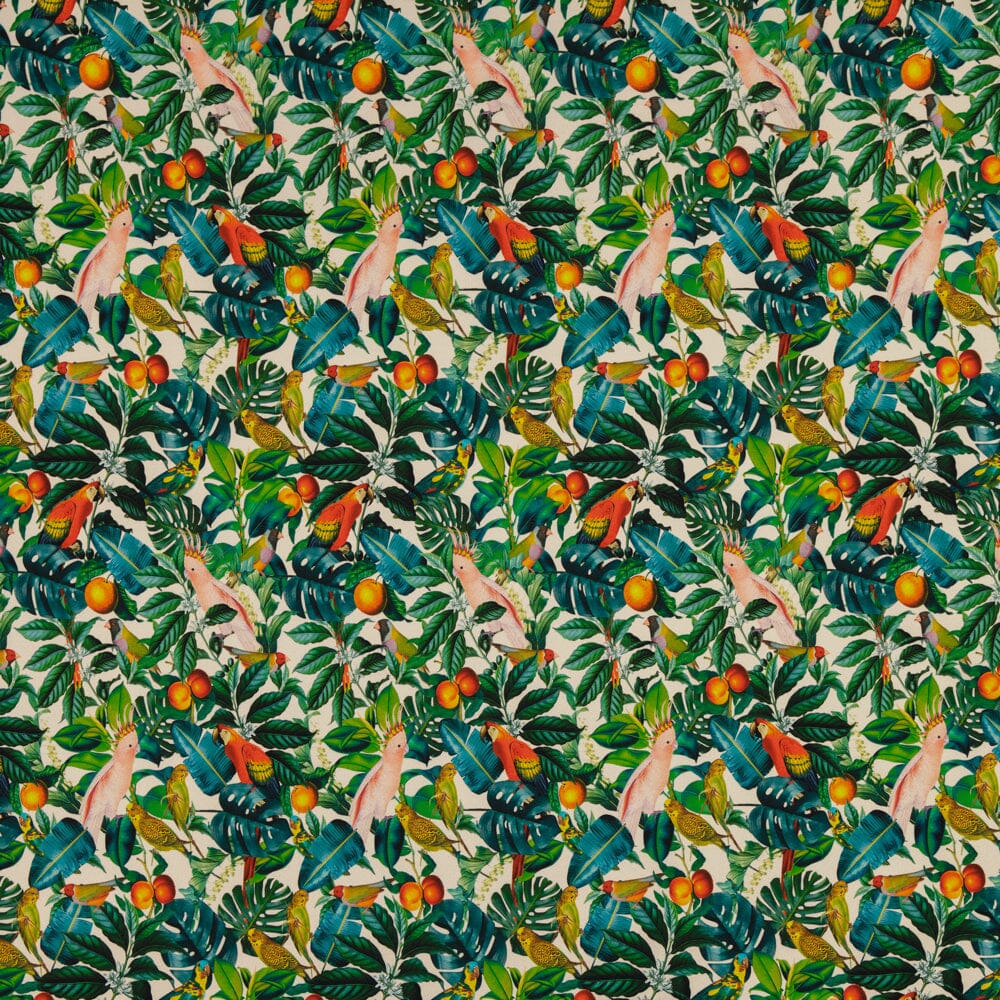 COLLEGE (HARJATTU) BIRDSONG 1M Metsola